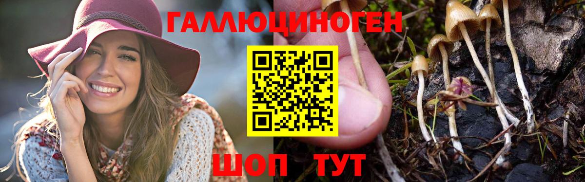 Галлюциногенные грибы мицелий  Вход с VPN  сколько стоит  Кингисепп  Псилоцибиновые грибы мухоморы 